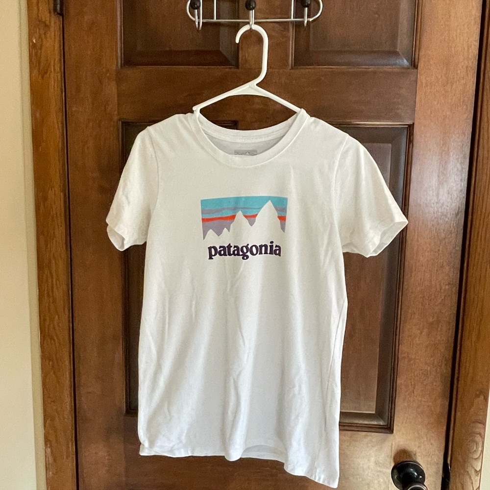 Patagonia tee